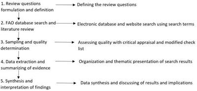 Sustainable Intensification and Climate-Smart Yam Production for Improved Food Security in West Africa: A Review